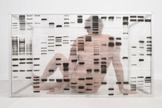 HuM-ART - "Retreat Framing No 40",  UV-Print auf Dibond, 2020