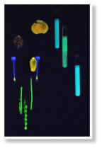 HuM-ART - "A Luciferase Of Plants", 6 Kinetische Objekte, 2015